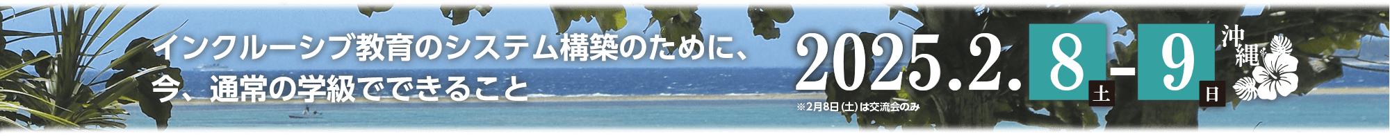 一般社団法人　日本LD学会　第8回研究集会（沖縄）